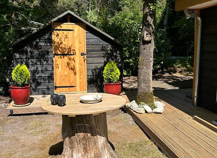 Guest house 324126 - Holiday property Veluwe - Vakantiehuis in Hattemerbroek