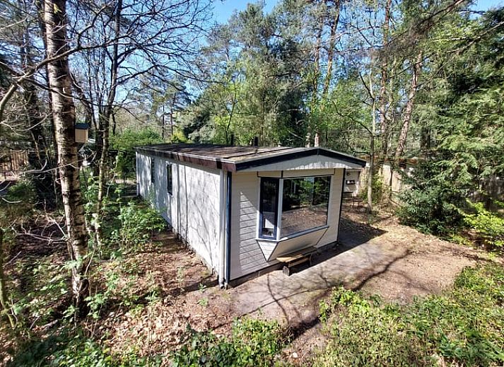 Cottage in Hattemerbroek, Veluwe vacation home in wooded area of Gelderland.