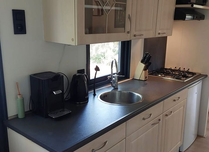 View from Cottage in Hattemerbroek, Veluwe vacation rental on green surroundings.