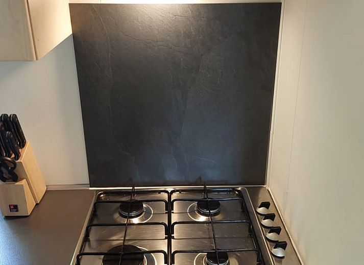 View from Cottage in Hattemerbroek, Veluwe vacation rental on green surroundings.