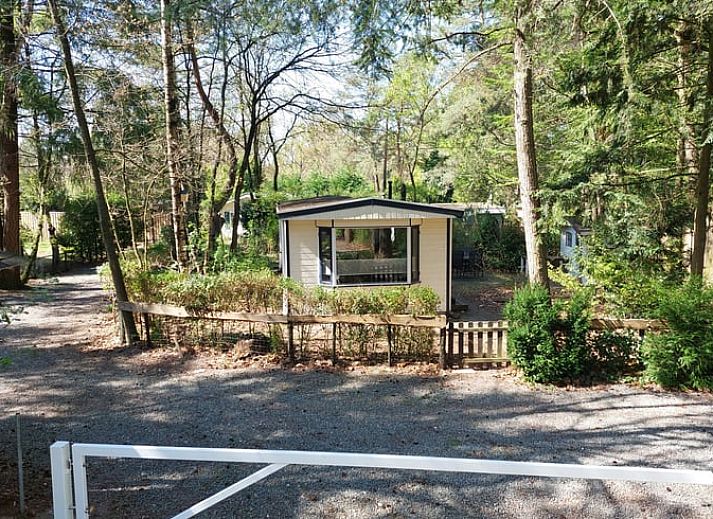 Spacious dining area in Cottage in Hattemerbroek, Veluwe vacation home for cozy meals.