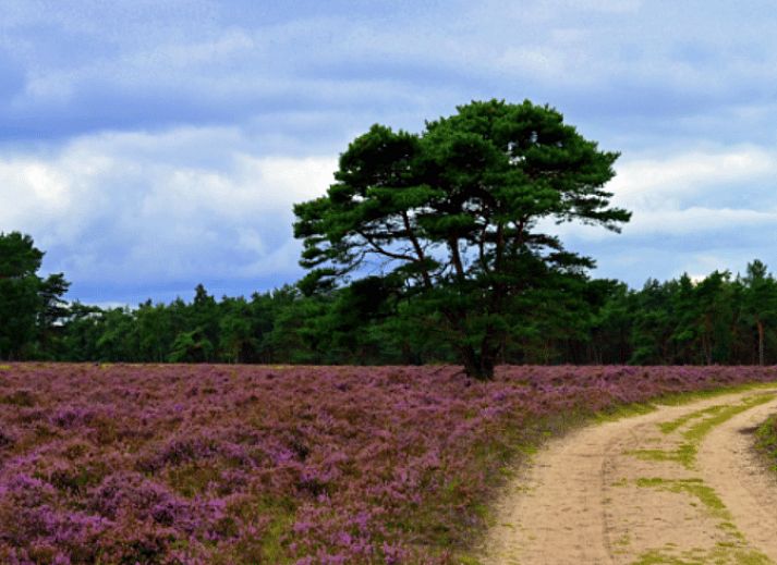 Modern living room with TV in Cottage in Hattemerbroek, Veluwe vacation home in Gelderland.