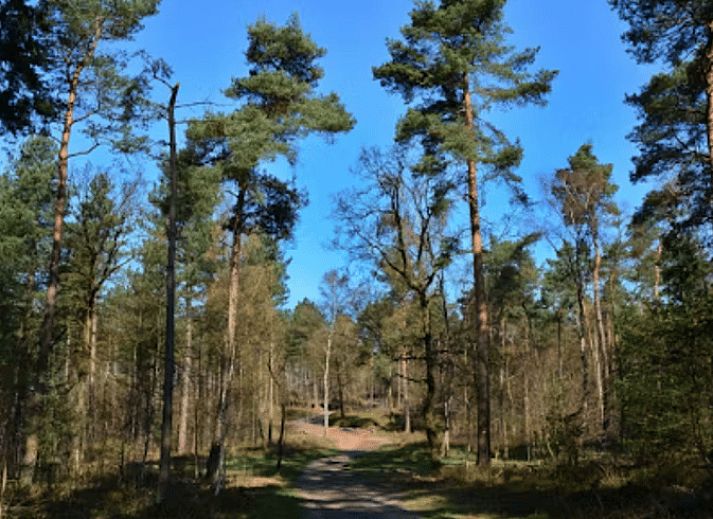 Modern living room with TV in Cottage in Hattemerbroek, Veluwe vacation home in Gelderland.