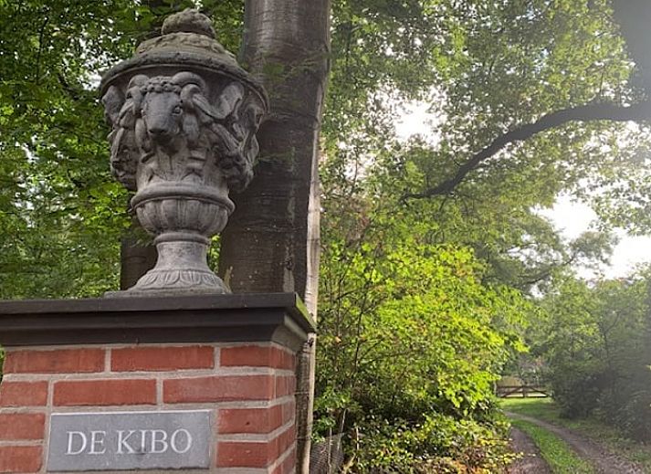 Cottage in Hattem, cottage in the Veluwe, surrounded by greenery and tranquility in Gelderland.