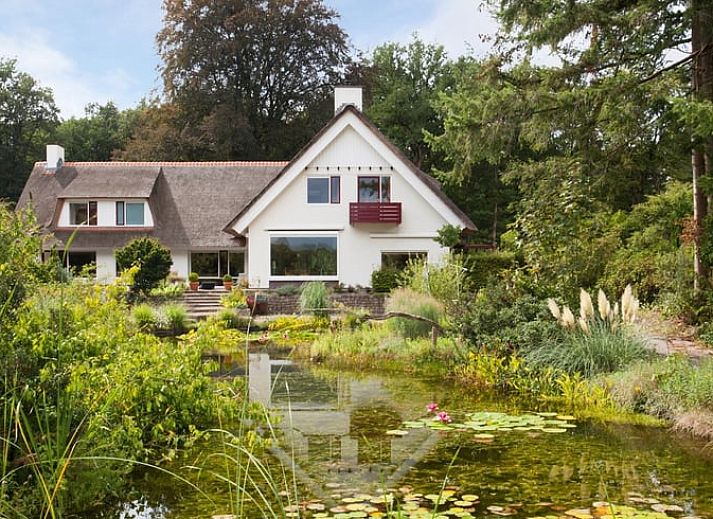 Guest house 324206 - Holiday property Veluwe - Vakantiehuis in Hattem