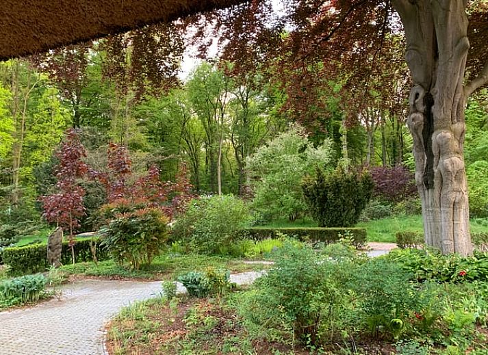 Guest house 324206 - Holiday property Veluwe - Vakantiehuis in Hattem