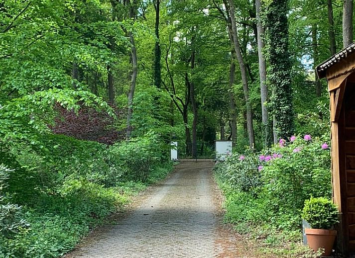 Guest house 324206 - Holiday property Veluwe - Vakantiehuis in Hattem