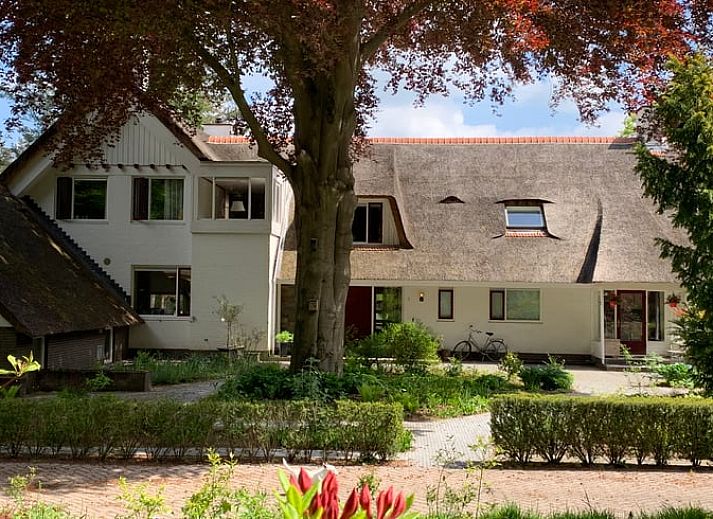 Guest house 324206 - Holiday property Veluwe - Vakantiehuis in Hattem