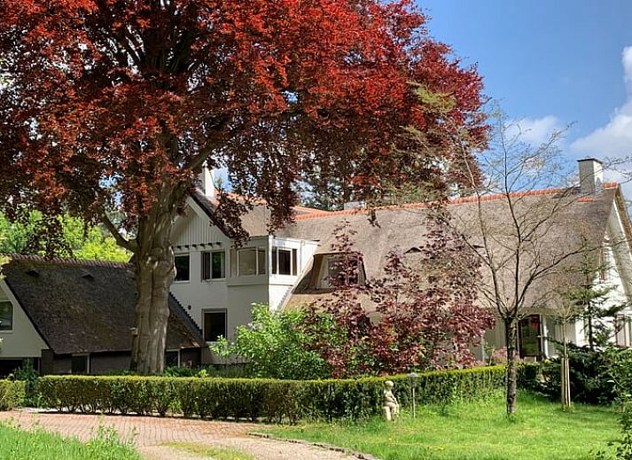 Guest house 324206 - Holiday property Veluwe - Vakantiehuis in Hattem