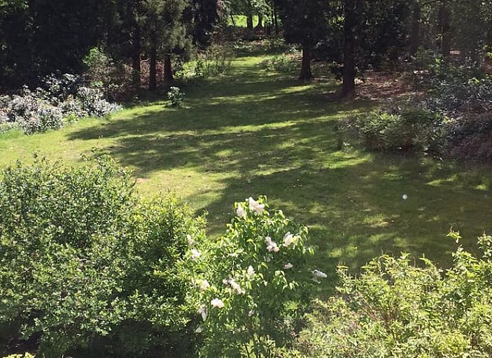 Guest house 324206 - Holiday property Veluwe - Vakantiehuis in Hattem