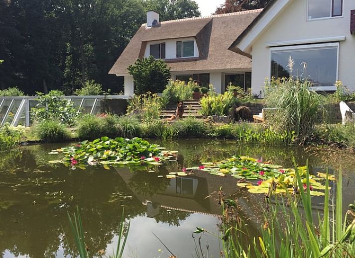 Guest house 324206 - Holiday property Veluwe - Vakantiehuis in Hattem
