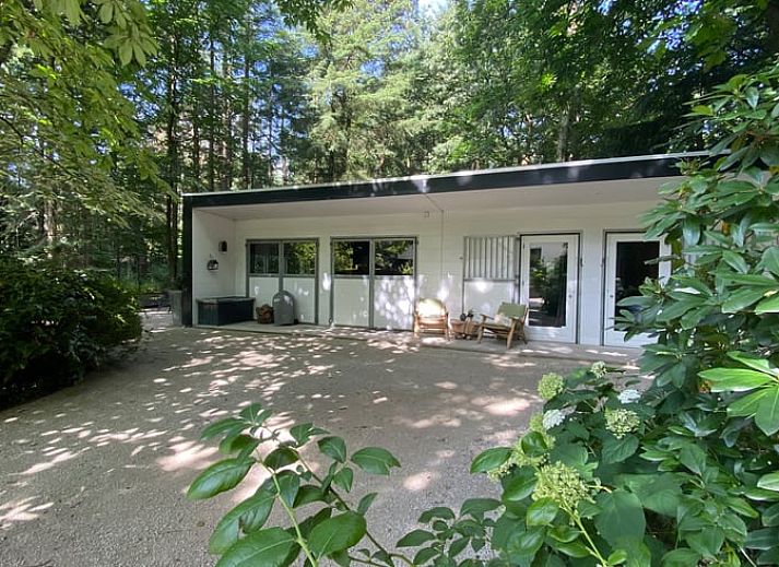 Cottage in Hattem, vacation home in the Veluwe surrounded by greenery in Gelderland.