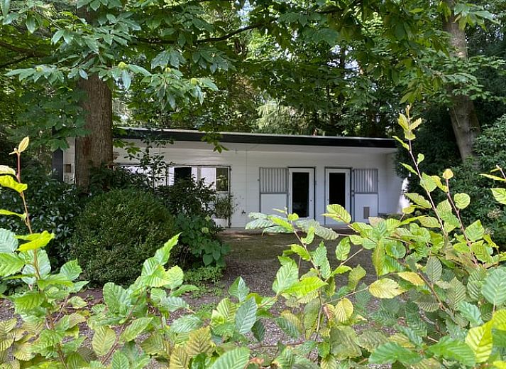 Cottage in Hattem, vacation home in the Veluwe surrounded by greenery in Gelderland.