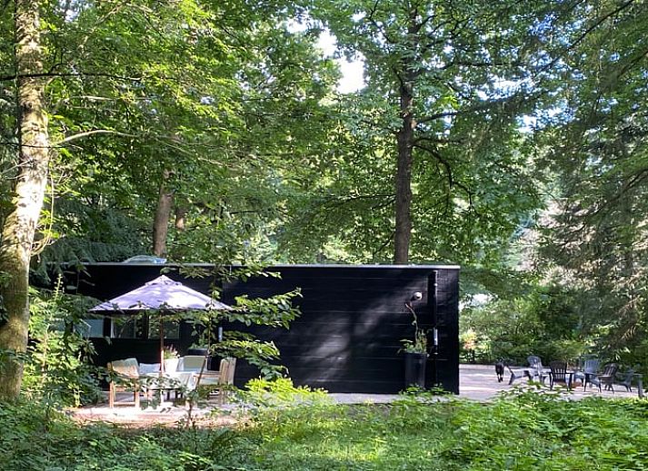 Cottage in Hattem, vacation home in the Veluwe surrounded by greenery in Gelderland.