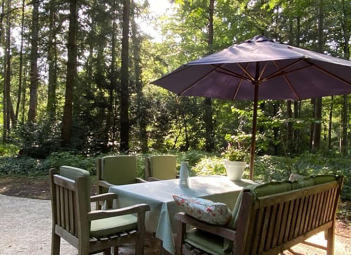 Cottage in Hattem, vacation home in the Veluwe surrounded by greenery in Gelderland.