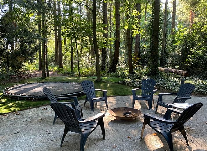 Cozy terrace at Cottage in Hattem, vacation accommodation in the Veluwe, Gelderland.