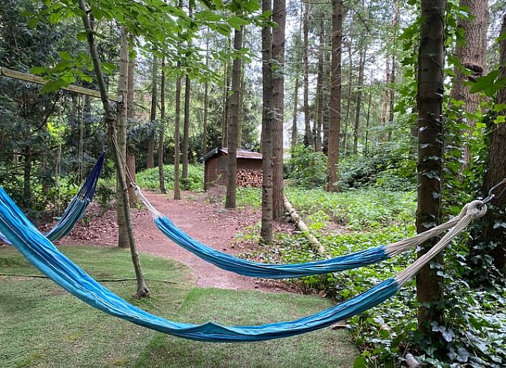 Cozy terrace at Cottage in Hattem, vacation accommodation in the Veluwe, Gelderland.