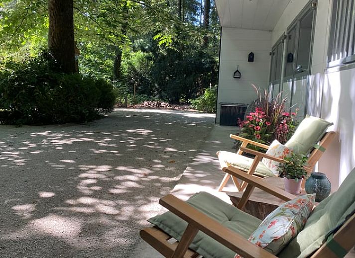 Cozy terrace at Cottage in Hattem, vacation accommodation in the Veluwe, Gelderland.