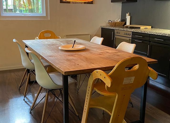Sunny terrace of Cottage in Hattem, vacation home in Veluwe, Gelderland.