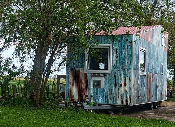 Vakantiehuis in Doornspijk, Veluwe, Gelderland, rustiek exterieur omringd door bomen.