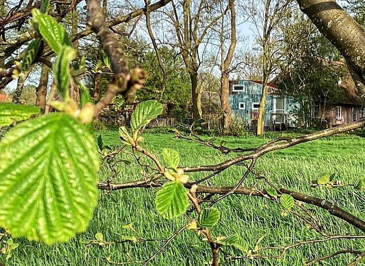 Vakantiehuis in Doornspijk, Veluwe, Gelderland, rustiek exterieur omringd door bomen.