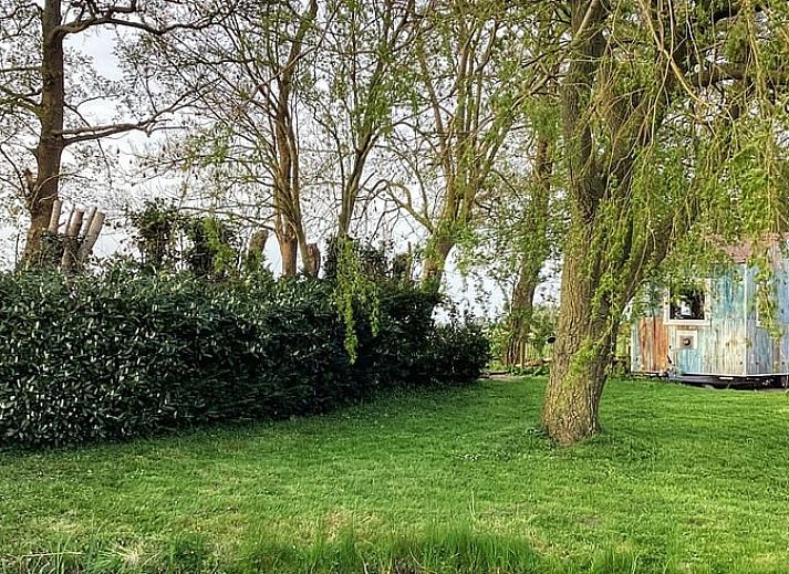 Vakantiehuis in Doornspijk, Veluwe, Gelderland, rustiek exterieur omringd door bomen.