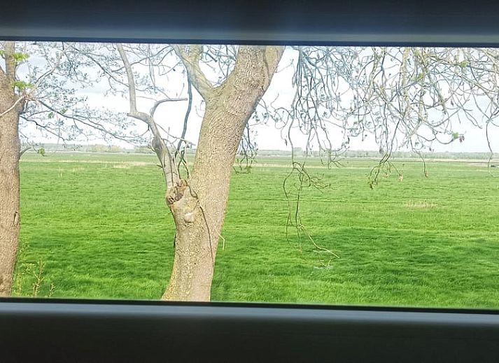 Natuurrijke omgeving van Vakantiehuis in Doornspijk, Veluwe, Gelderland met groene velden.