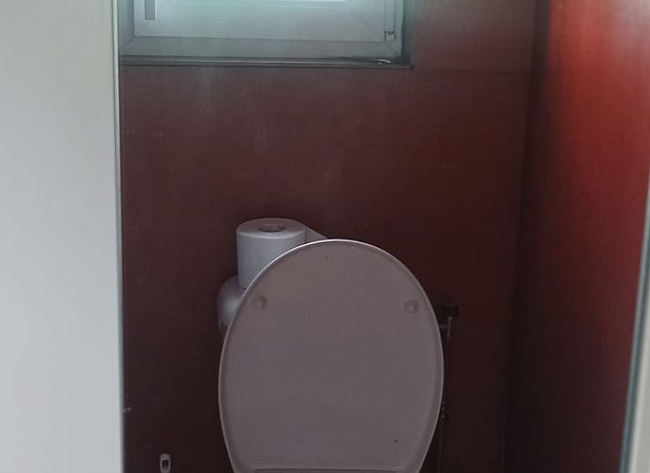 Natuurrijke omgeving van Vakantiehuis in Doornspijk, Veluwe, Gelderland met groene velden.