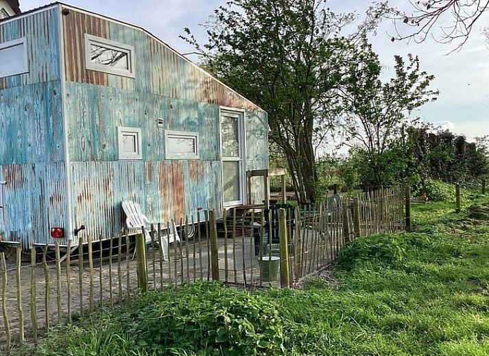 Natuurrijke omgeving van Vakantiehuis in Doornspijk, Veluwe, Gelderland met groene velden.