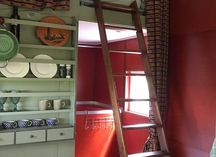 Natuurrijke omgeving van Vakantiehuis in Doornspijk, Veluwe, Gelderland met groene velden.