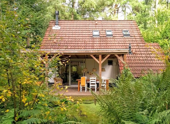 Verblijf 324304 • Vakantiewoning Veluwe • Natuurhuisje in Doornspijk