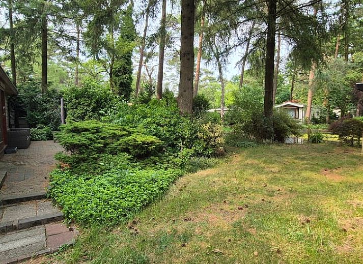 Unterkunft 324317 - Ferienhaus Veluwe - Huisje in Doornspijk