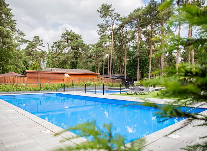 Unterkunft 324317 - Ferienhaus Veluwe - Huisje in Doornspijk