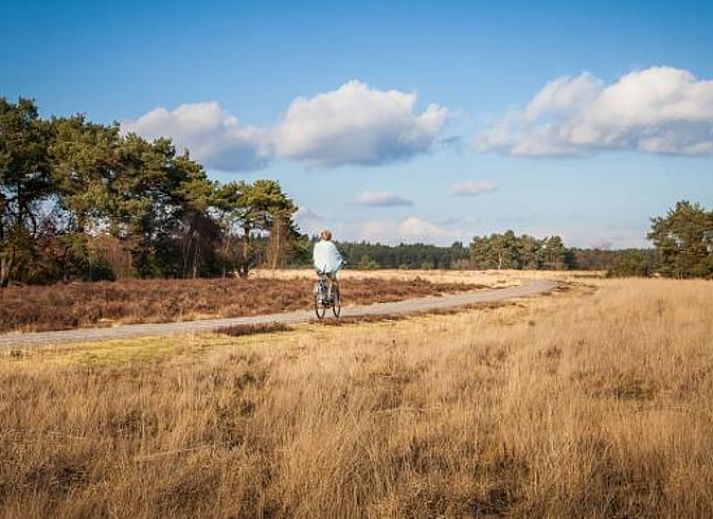 Unterkunft 324317 - Ferienhaus Veluwe - Huisje in Doornspijk