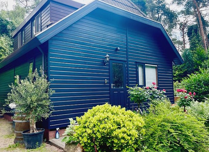Gemuetliche Leseecke in Cottage in Doornspijk, Ferienhaus in der Veluwe, Gelderland.