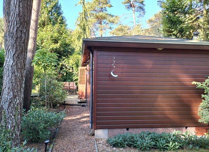 Guest house 324326 - Holiday property Veluwe - Vakantiehuis in Doornspijk