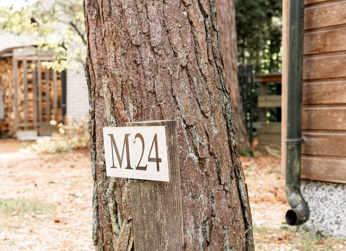 Cozy porch at Holiday home in Doornspijk, Veluwe, Gelderland surrounded by nature.