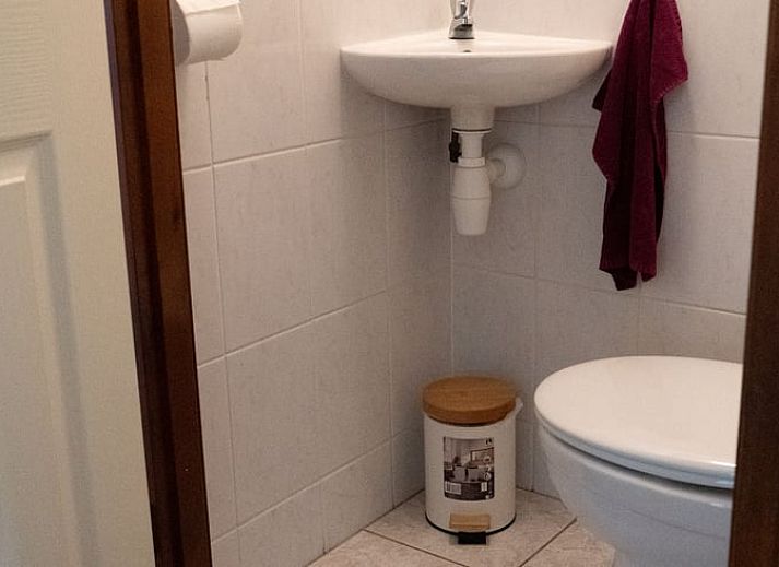 Relaxing chairs in the garden of Holiday home in Doornspijk, Veluwe, Gelderland for ultimate comfort.