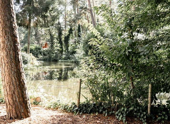 Relaxing chairs in the garden of Holiday home in Doornspijk, Veluwe, Gelderland for ultimate comfort.