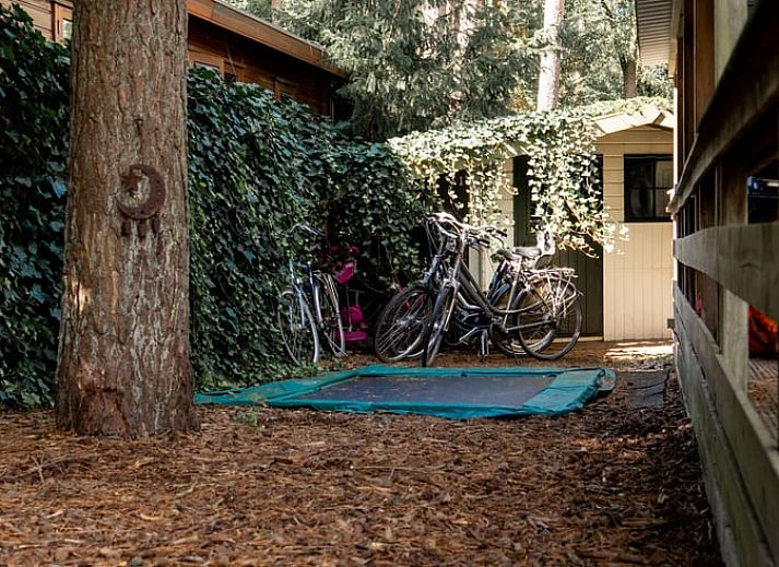 Relaxing chairs in the garden of Holiday home in Doornspijk, Veluwe, Gelderland for ultimate comfort.