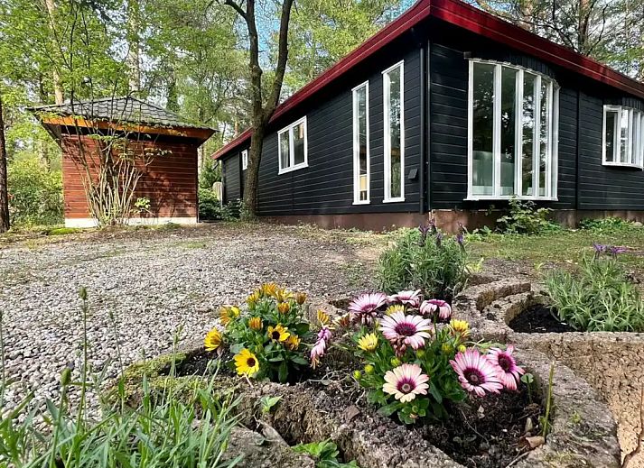 Verblijf 324333 - Chalet Veluwe - Boshuis op de Veluwe naast zwembad