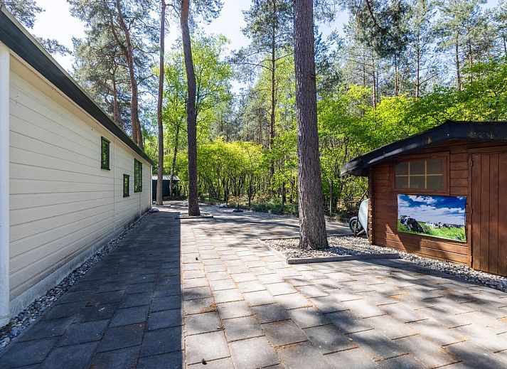 Unterkunft 324339 - Chalet Veluwe - Herfstblos