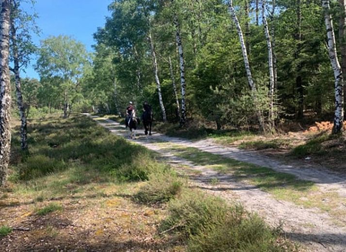 Unterkunft 324407 - Ferienhaus Veluwe - Vakantiehuis in Wapenveld