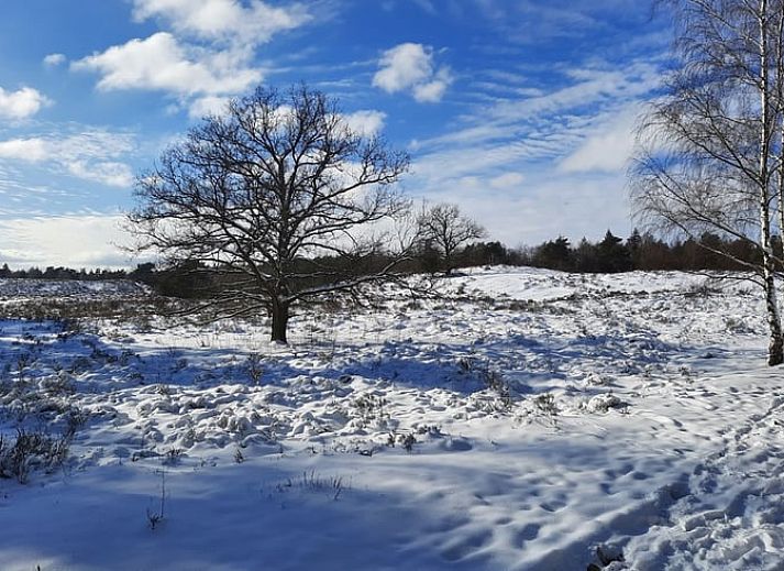 Unterkunft 324407 - Ferienhaus Veluwe - Vakantiehuis in Wapenveld