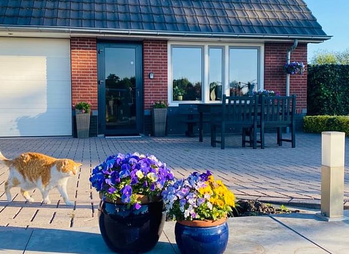 Vakantiehuis in Wapenveld met zonnepanelen op het dak, omgeven door groene velden, Veluwe, Gelderland.