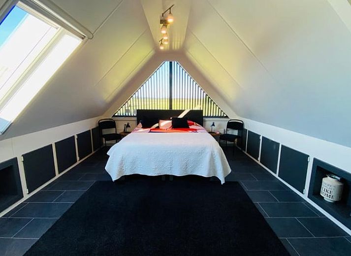 Kat wandelt op de oprit van Vakantiehuis in Wapenveld, Veluwe, Gelderland.