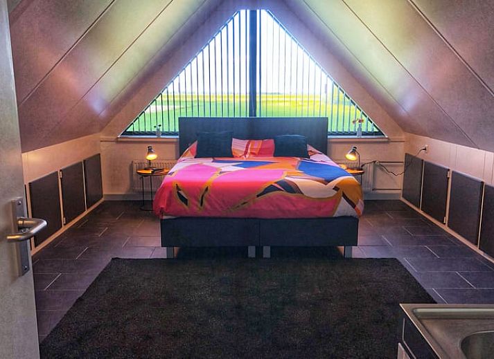 Kat wandelt op de oprit van Vakantiehuis in Wapenveld, Veluwe, Gelderland.