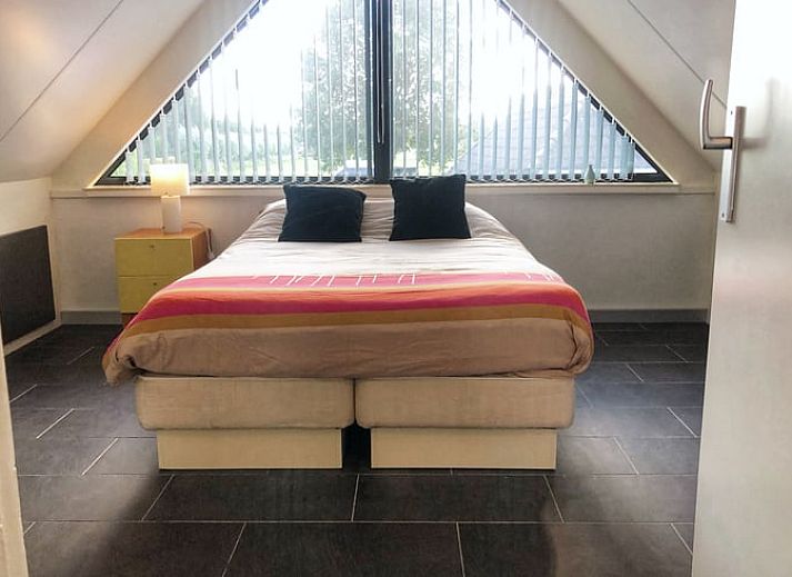 Kat wandelt op de oprit van Vakantiehuis in Wapenveld, Veluwe, Gelderland.