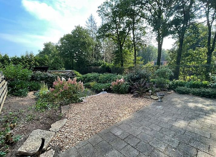 Authentisches Ferienhaus in Wapenveld, Veluwe, Gelderland mit stimmungsvollen Holzakzenten.