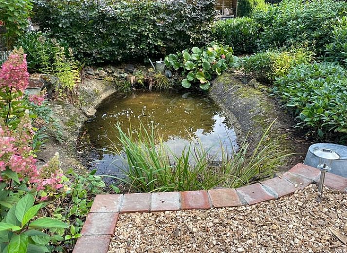 Authentisches Ferienhaus in Wapenveld, Veluwe, Gelderland mit stimmungsvollen Holzakzenten.